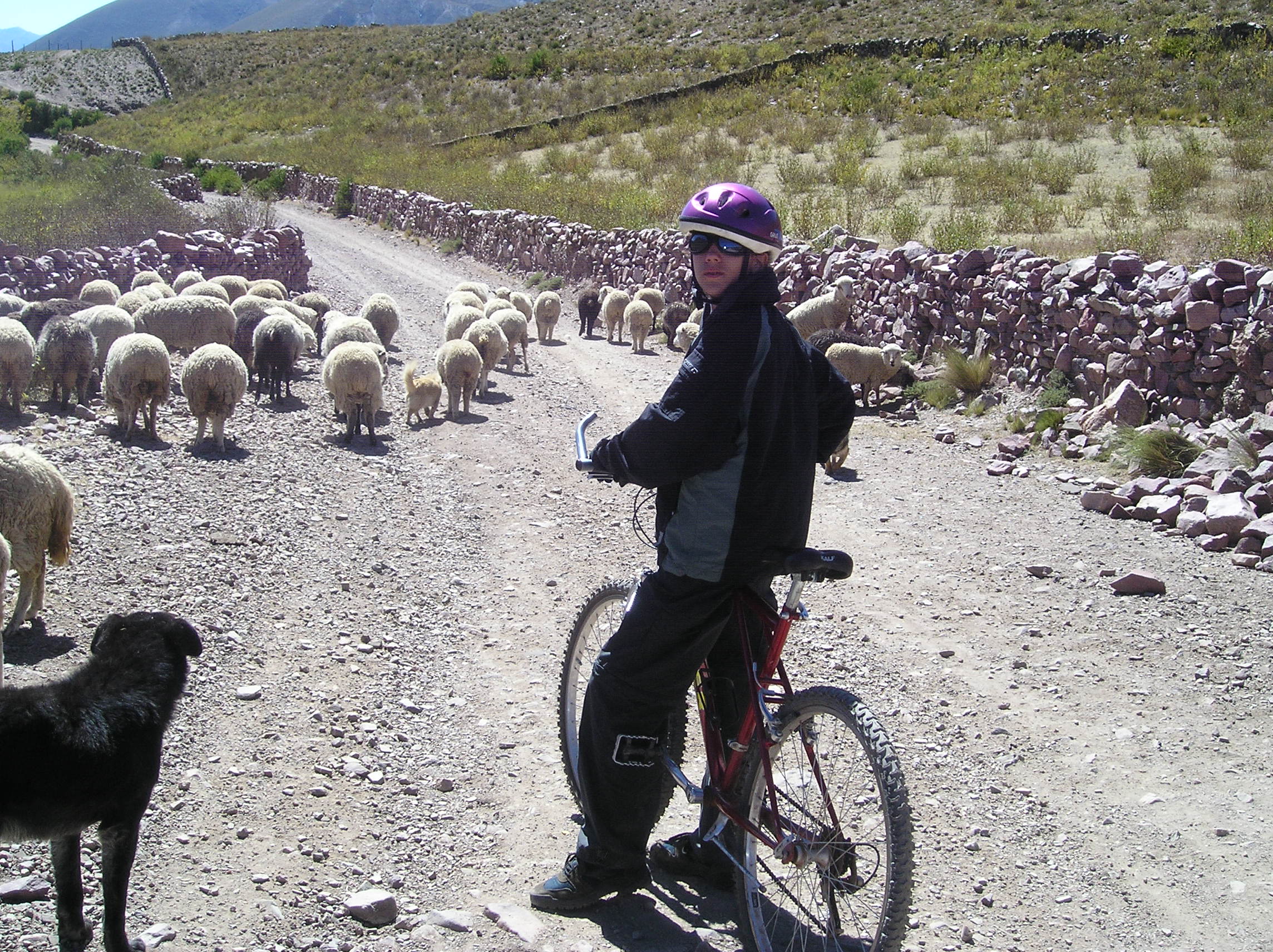Biking in family in Salta